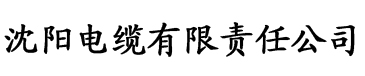 右手网电缆厂logo